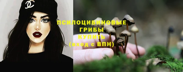 молекула духа Балабаново